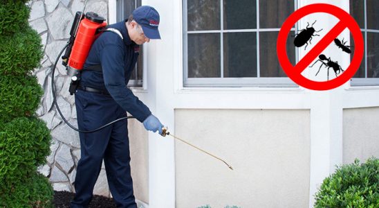 Palandöken Gümüşkurt İlaçlama böcek ilaçlama ve haşere kontrolü — ilaclama-tr.com